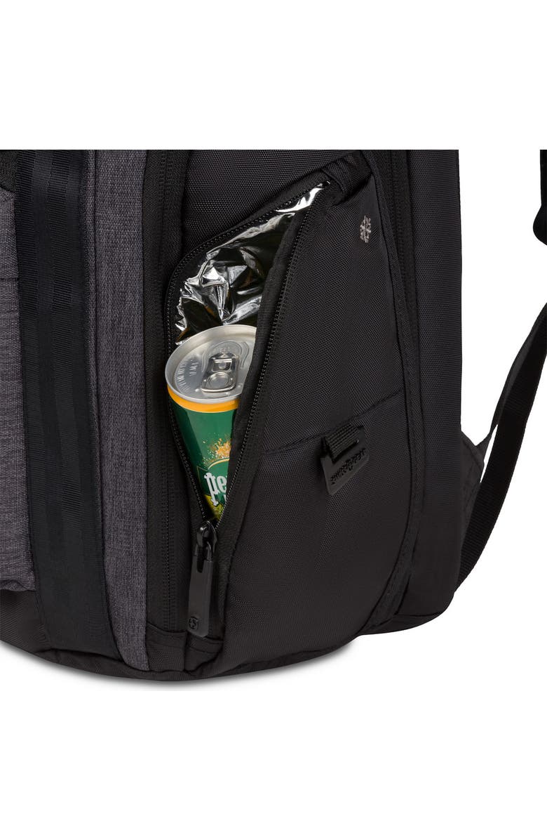 SWISSGEAR 3671 USB ScanSmart Laptop Backpack, Alternate, color,