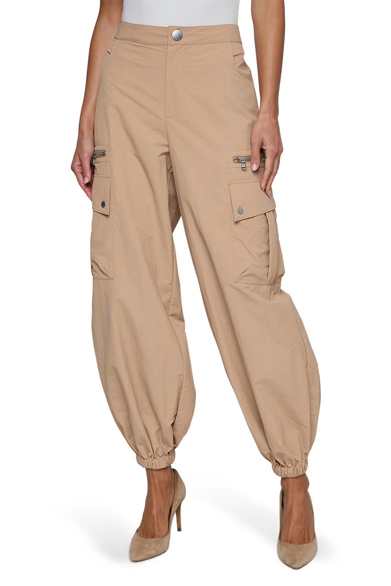 Greer Cargo Jogger Pants, Main, color, PRALINE