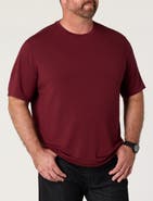Oak Hill by DXL Big & Tall Luxury T-Shirt