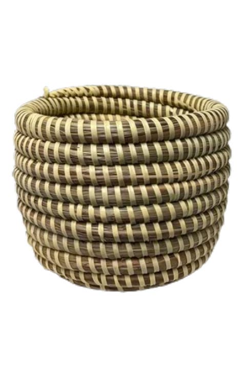 Succulent Basket Planter Success