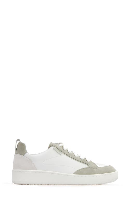 Frankie4 Farren Sneaker