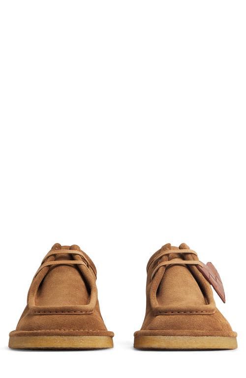 Bottega Veneta Suede Daddy Derby Shoes In Brown