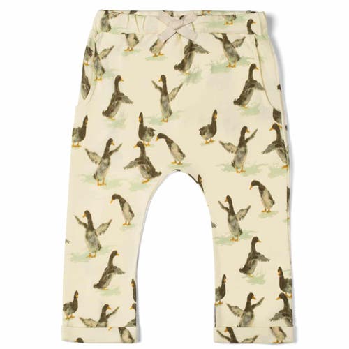 Milkbarn Organic Cotton Jogger In Yellow