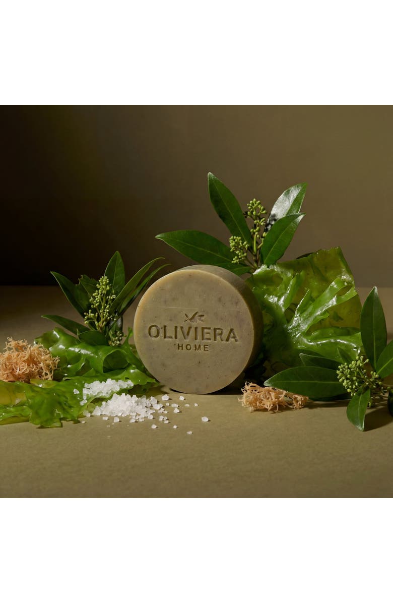 Oliviera Home Seaweed Bar Soap Trio, Alternate, color, Green