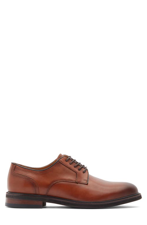 Nordstrom Rack Roland Plain Toe Derby In Brown