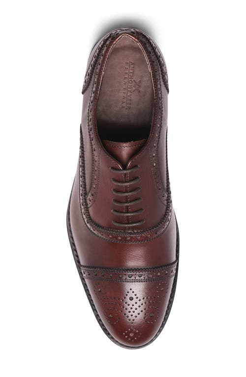 Anthony Veer Ford Quarter Brogue Cap Toe Oxford In Chocolate Brown
