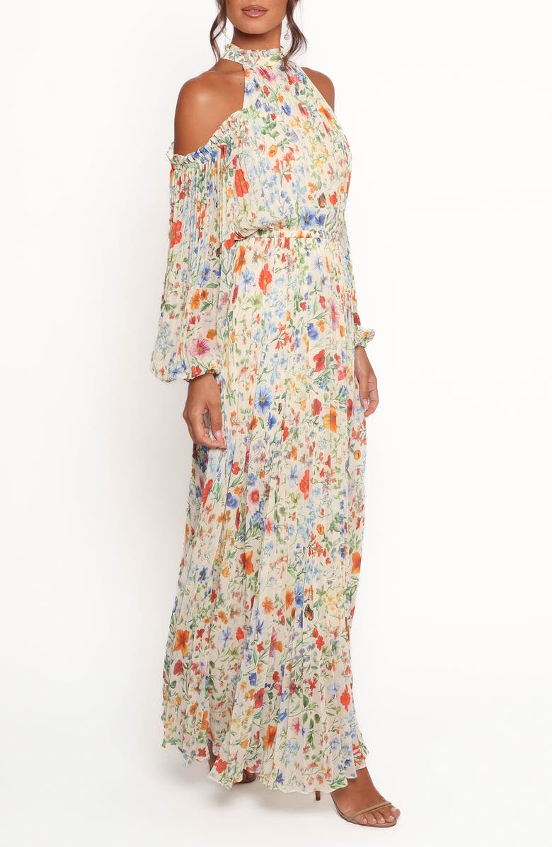 Petal & Pup Hilary Floral Cold Shoulder Maxi Dress, Alternate, color, Garden Floral