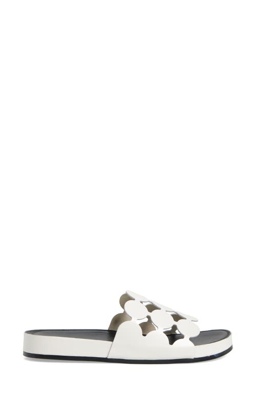 Cecelia New York Emily Slide Sandal