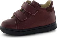 Naturino Kids' Falcotto Adam Sneaker