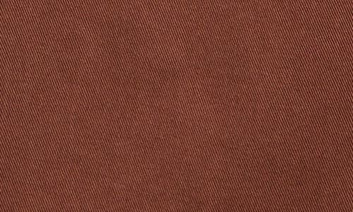 Shop Treasure & Bond Kids' Cotton Twill Utility Pants In Brown Tiramisu