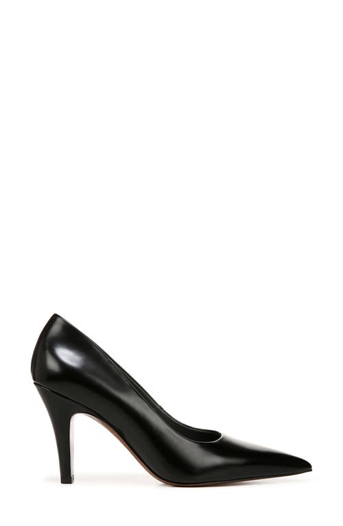 SARTO BY FRANCO SARTO SARTO BY FRANCO SARTO SAGE POINTED TOE PUMP 