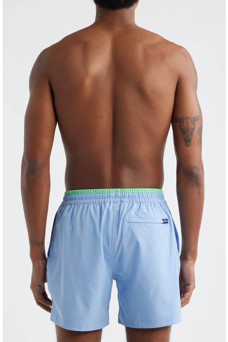 Alpine Skies 5.5-Inch Swim Trunks, Alternate, color, DUSTY BLUE
