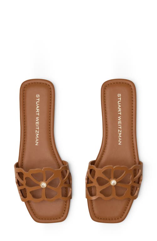 Stuart Weitzman Jasmine Cutout Slide Sandal In Brown
