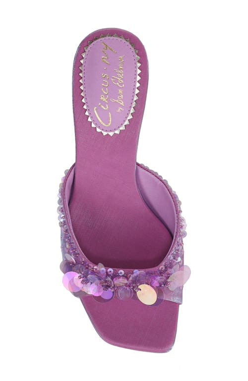 Circus Ny By Sam Edelman Juliana Kitten Heel Sandal In Mulberry