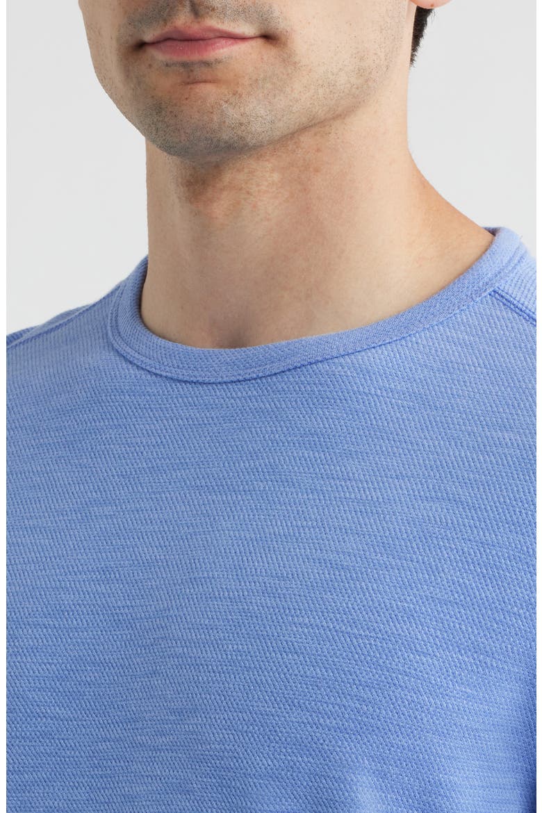 Sand Wave Slub Cotton Blend T-Shirt, Alternate, color, GRAPE POOLS