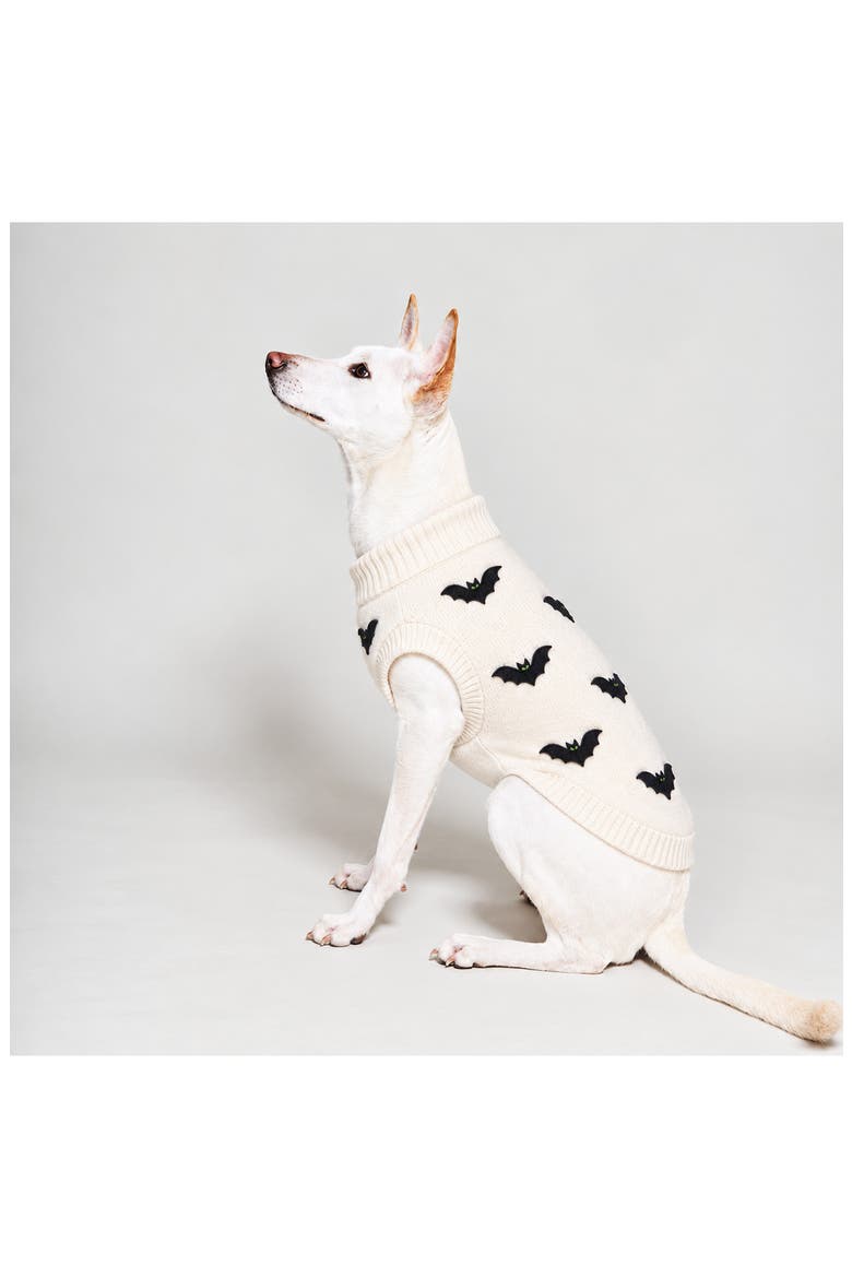Bat Dog Sweater, Alternate, color, CREAM