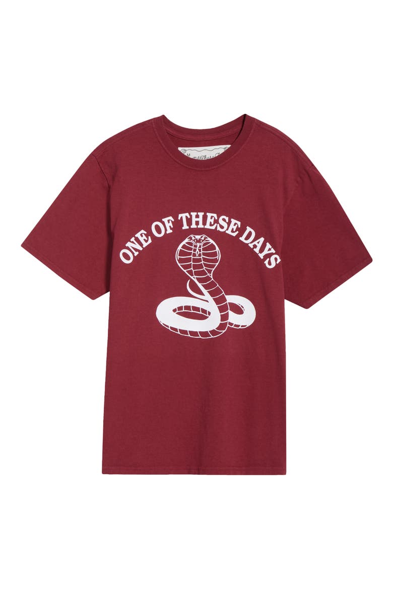 Cobra Graphic Print T-Shirt, Alternate, color, BURGUNDY