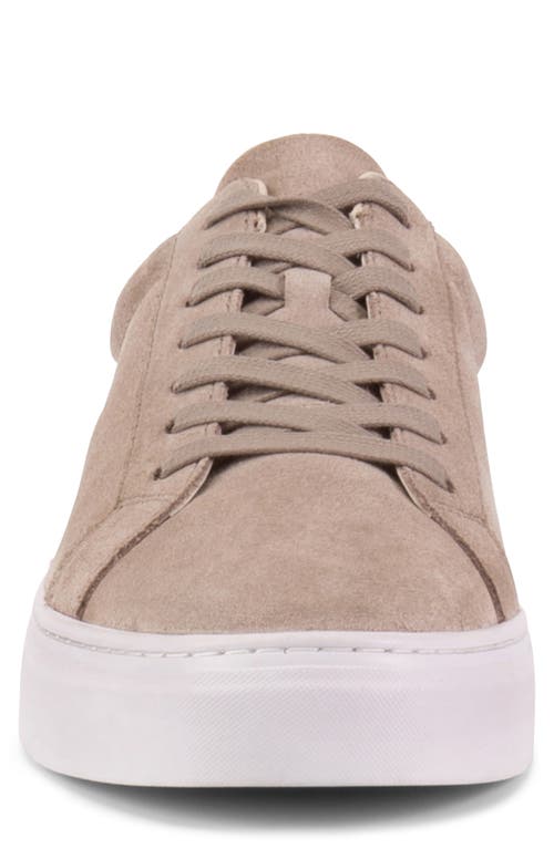 Vagabond Shoemakers Paul 2.0 Sneaker In Taupe