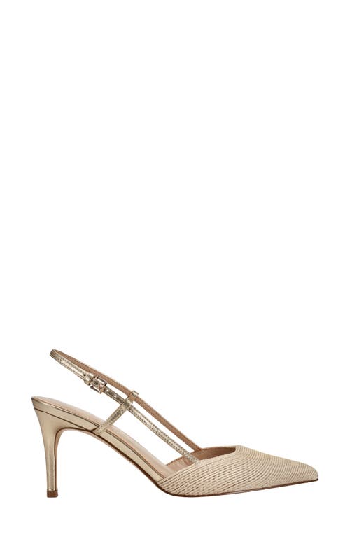 Marc Fisher Ltd Flory Pointed Toe Pump