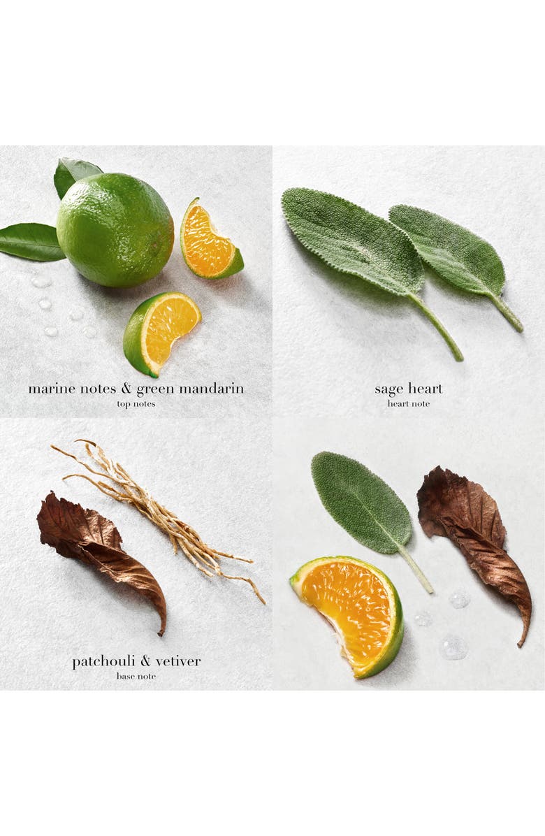 Giorgio Armani Acqua di Gio Eau de Parfum Set (Limited Edition) $186 Value, Alternate, color,