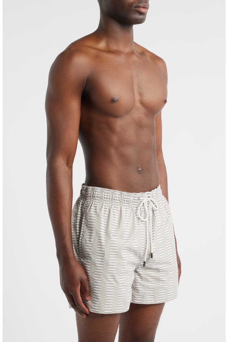 Cruz Geo Print Swim Trunks, Alternate, color, DESERT