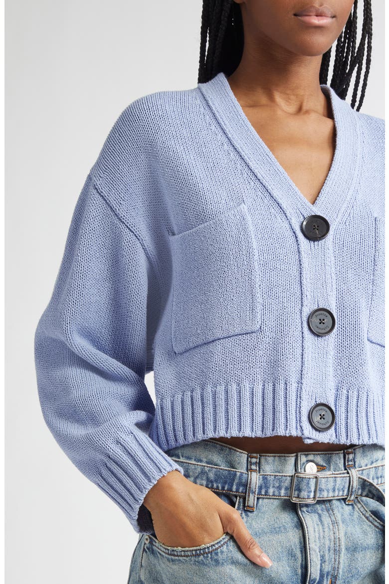 Sofia Oversize Crop Cardigan, Alternate, color, PALE BLUE
