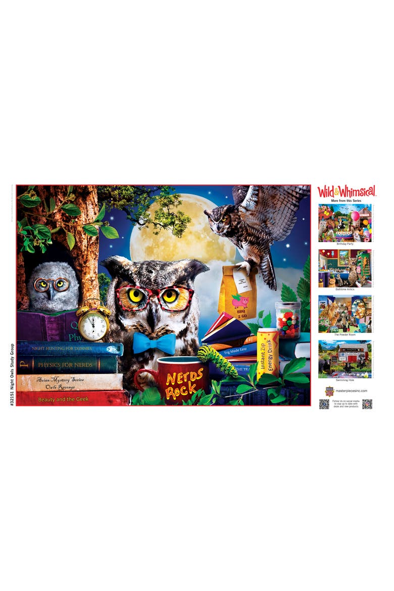 Night Owls Study Group 300 Piece Puzzle, Alternate, color, Multicolor
