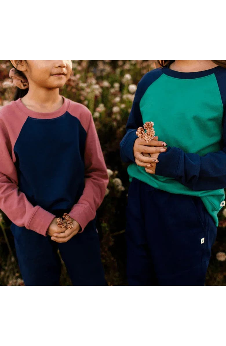 Jackalo Kids’ Stevie Organic Cotton Raglan Sweatshirt, Alternate, color, Hunter Green & Navy