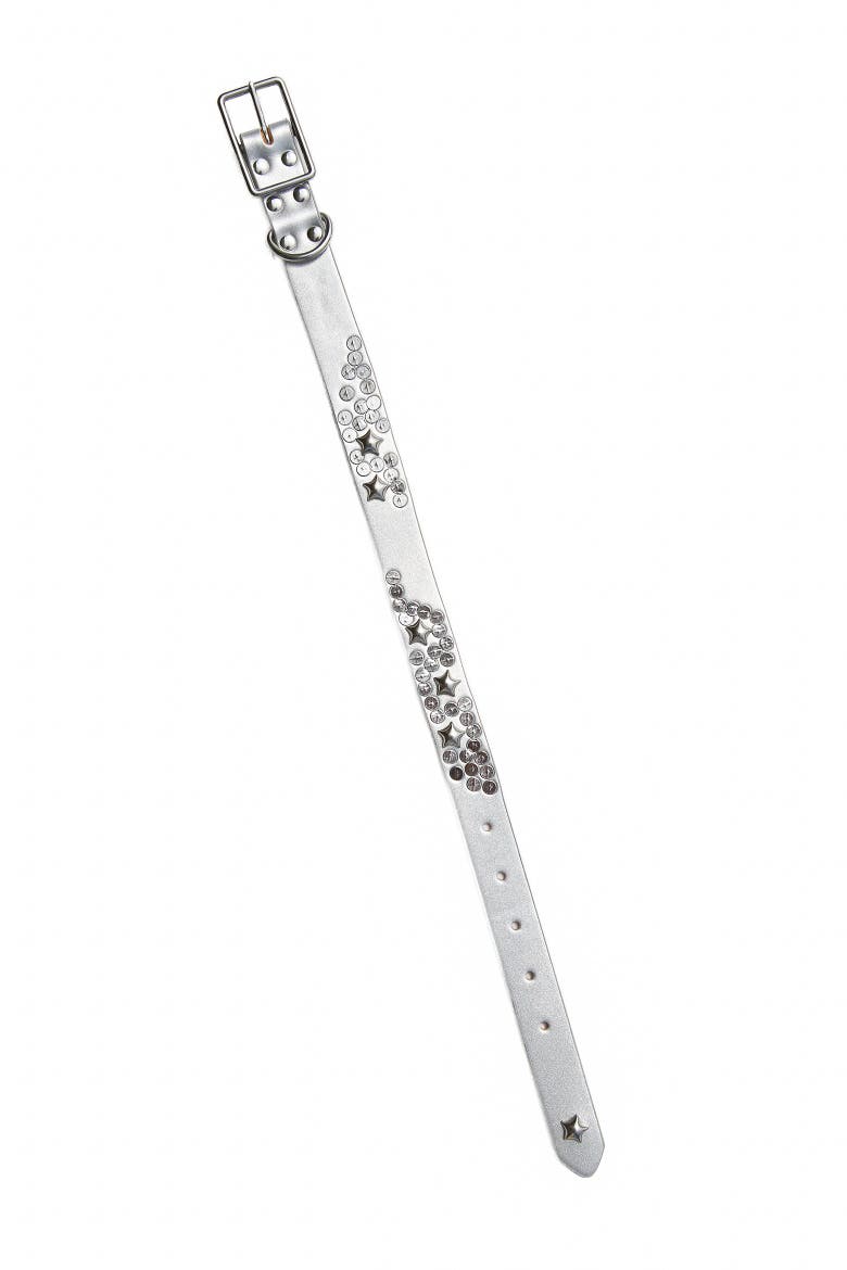 Silver Star Dog Collar, Alternate, color, Silver