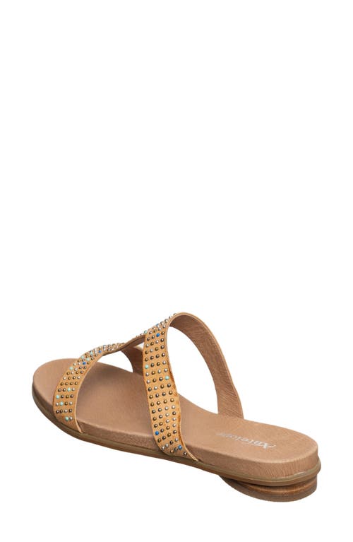 Antelope Reegan Slide Sandal In Taupe