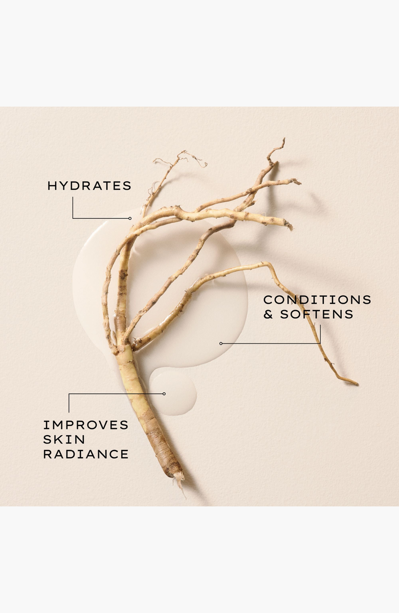 JURLIQUE Activating Water Essence, Alternate, color, 75Ml