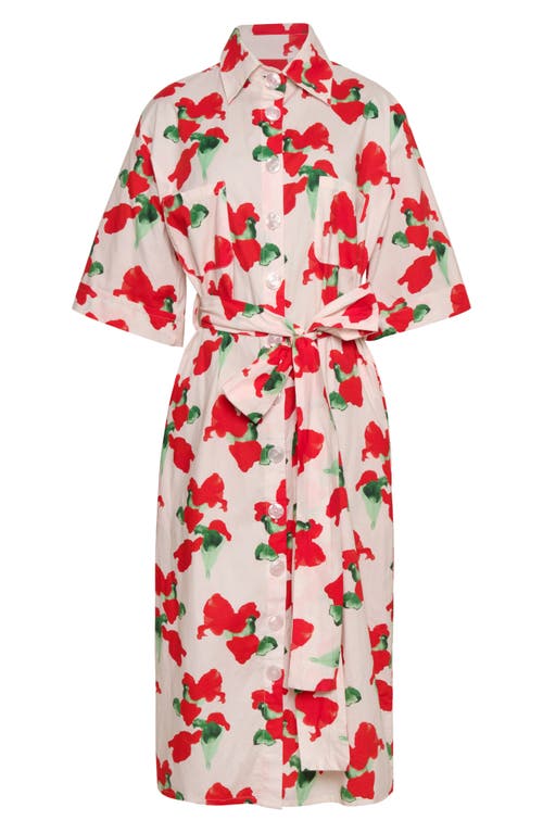 The Lulo Project Marina Floral Stretch Cotton Midi Shirtdress In Orange Bloom Beige