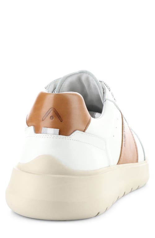 AMBITIOUS AMBITIOUS 12863 LOW TOP SNEAKER 