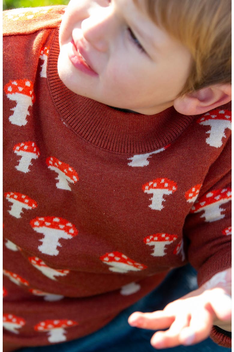 Kids' Mushroom Cotton Sweater, Alternate, color, ORANGE