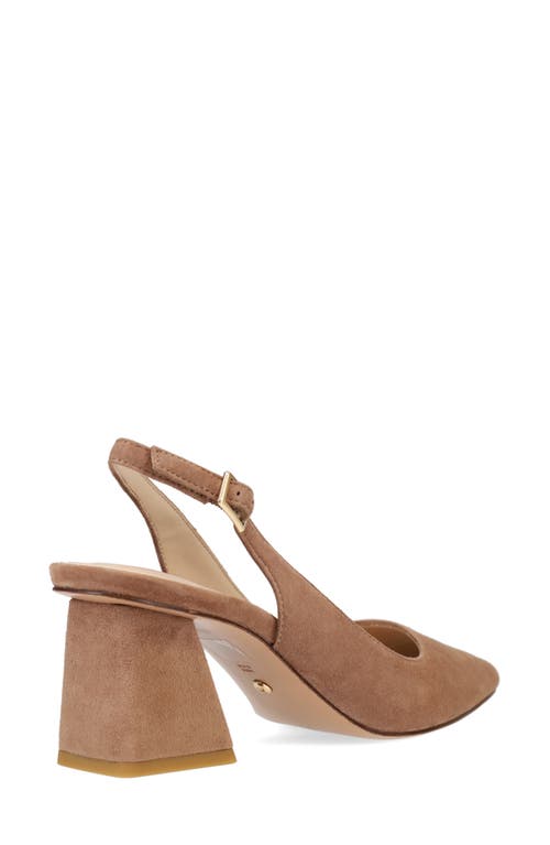 Pelle Moda Florin Slingback Pointed Toe Pump In Brown