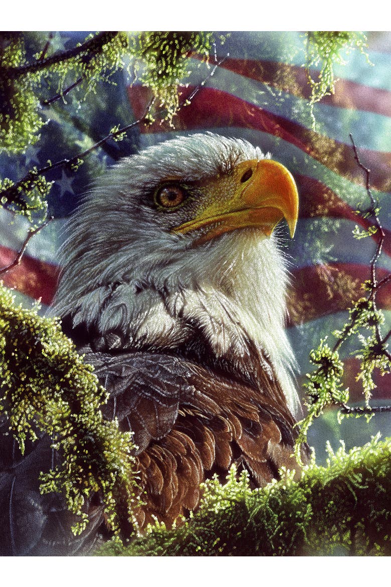 Eagle Colors 1000 piece Jigsaw Puzzle for Adults, Alternate, color, Multicolor