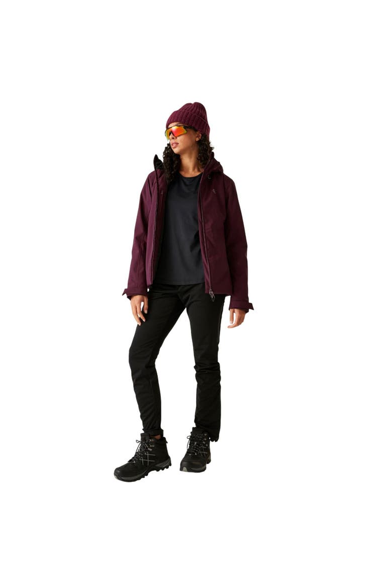 Torrek Blazen Insulated Waterproof Jacket, Alternate, color, Fig