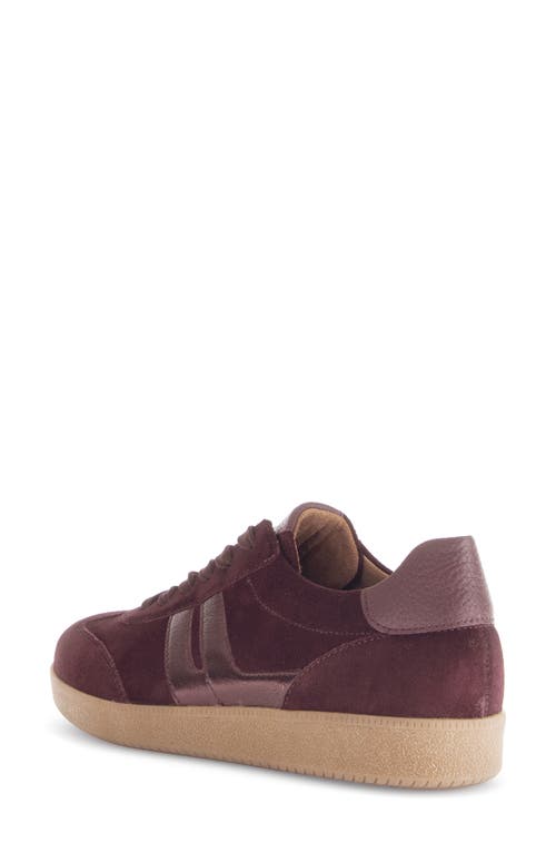 Gabor Stripe Low Top Sneaker In Burgundy