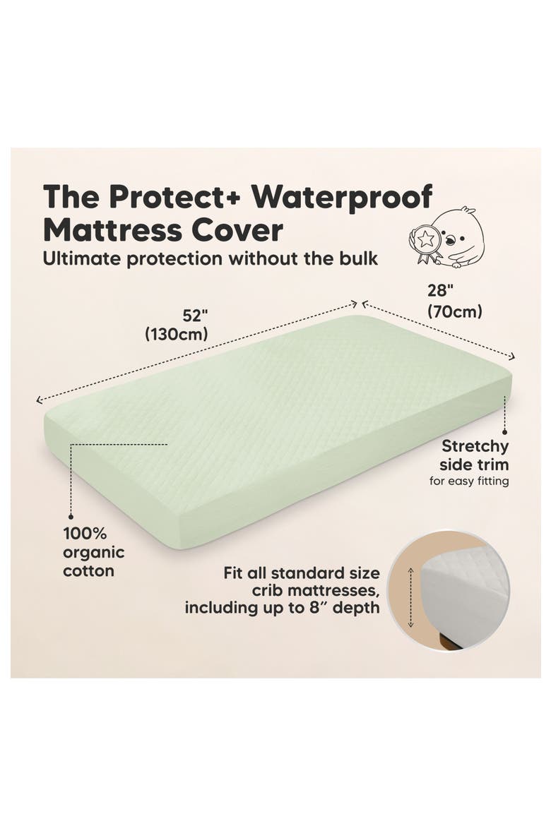 2-Pack Mavy Protect+ Waterproof Crib Mattress Protector, Alternate, color, Sage