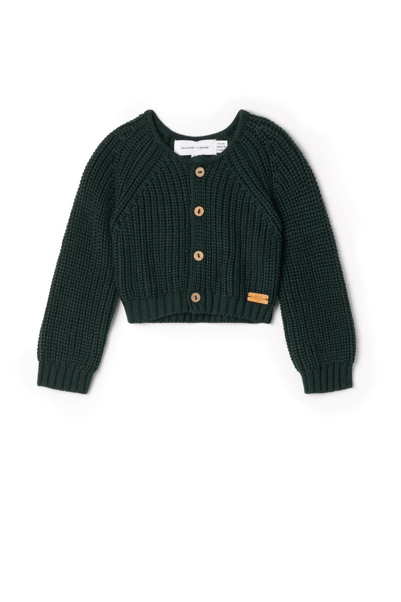 Chunky Knit Button-Front Cardigan, Main, color, Forest