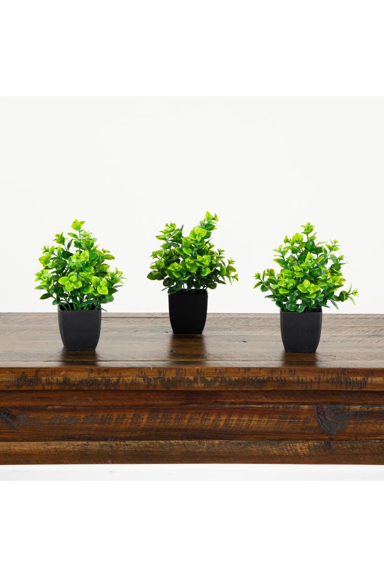 8-in Artificial Evergreen Boxwood Plant in Black Square Pot - Set of 3, Alternate, color, Green