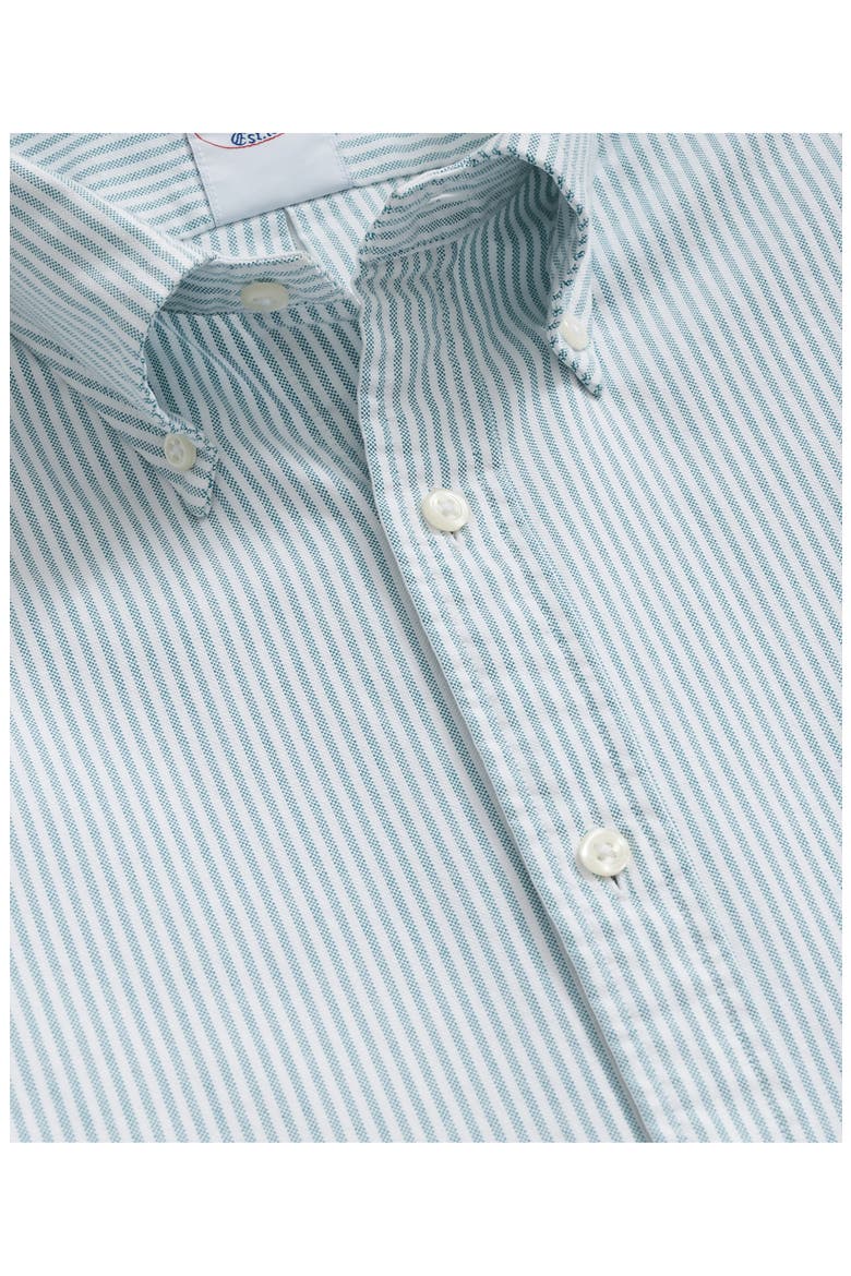 Striped Long Sleeve Oxford Shirt, Alternate, color, ALPINESTP