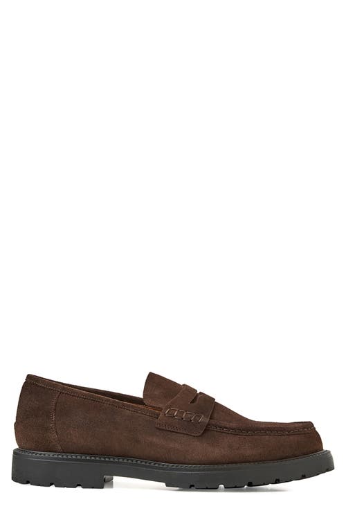Aquatalia Blake Water Resistant Penny Loafer In Brown