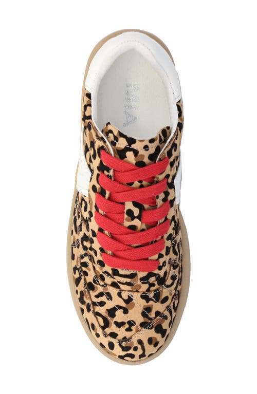 Mia Archie Leopard Sneaker In Animal Print