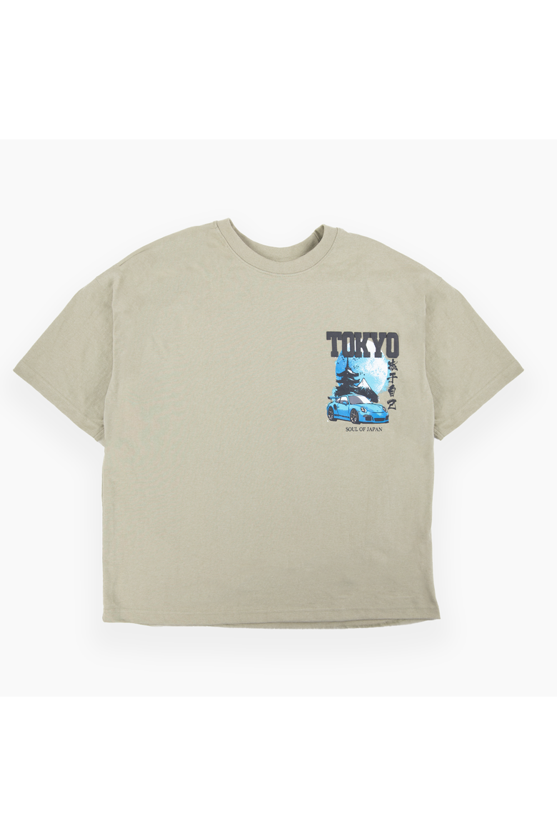 Polar Shirt, Main, color, WINTER TWIG/ TOKYO CAR