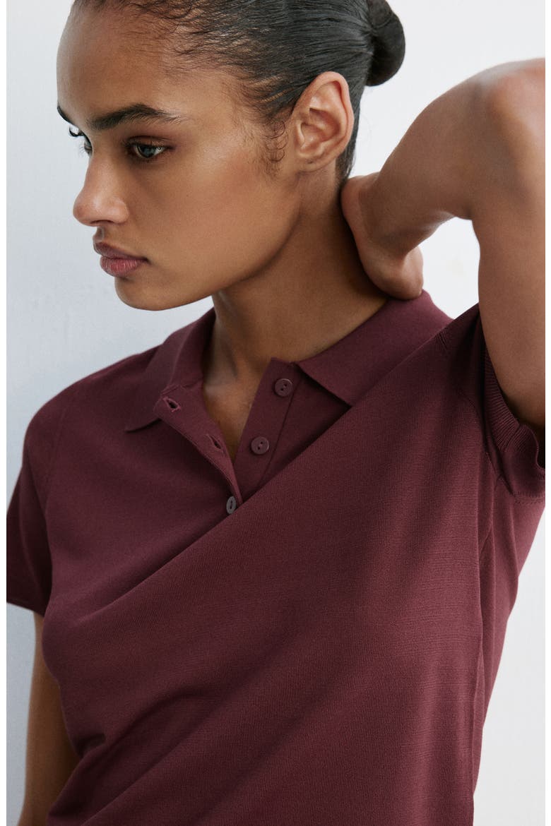 Polo Sweater, Alternate, color, MAROON