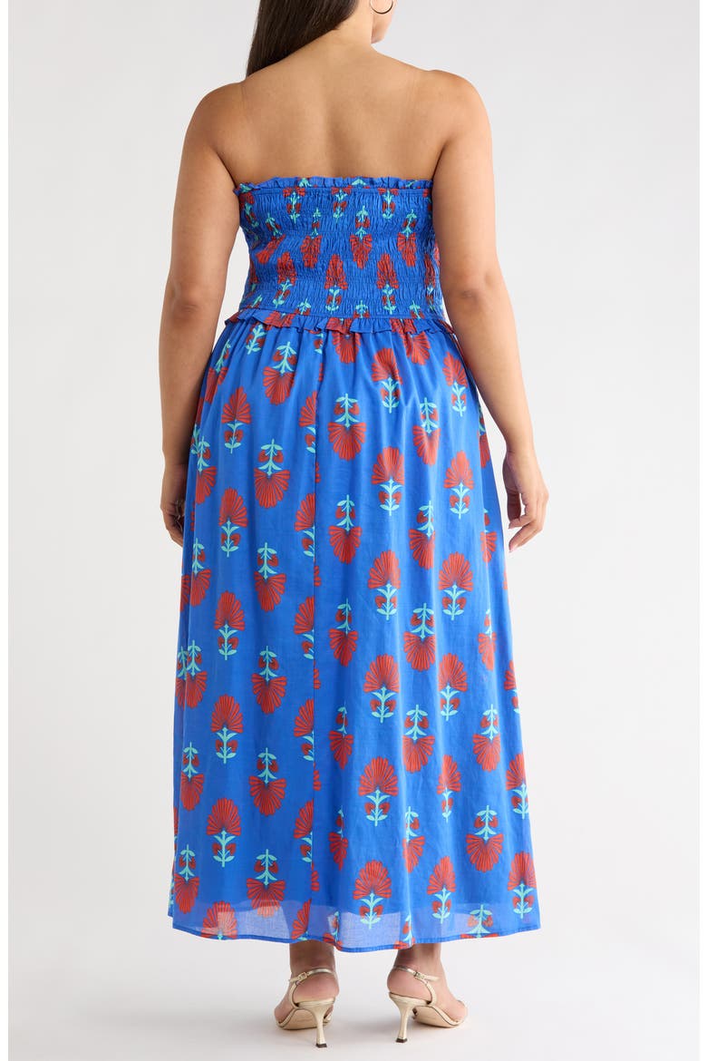 Lucinda Floral Print Sleeveless Maxi Dress, Alternate, color, BLUE-RED