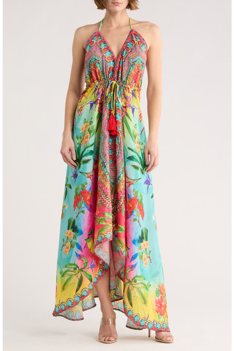 High-Low Halter Maxi Dress, Main, color, MULTICOLOR