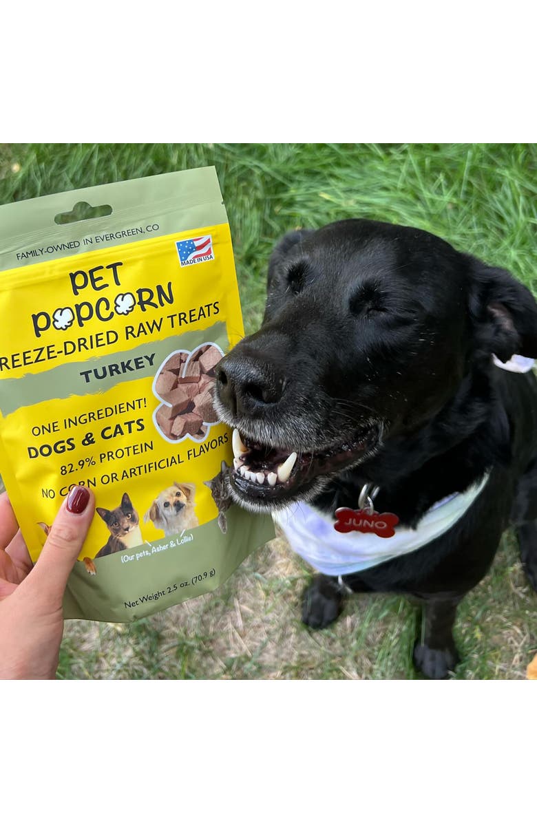 Pet Popcorn Freeze Dried Raw Treats, Turkey Breast, 2.5oz Bag, Dog & Cat Snacks, Alternate, color, 