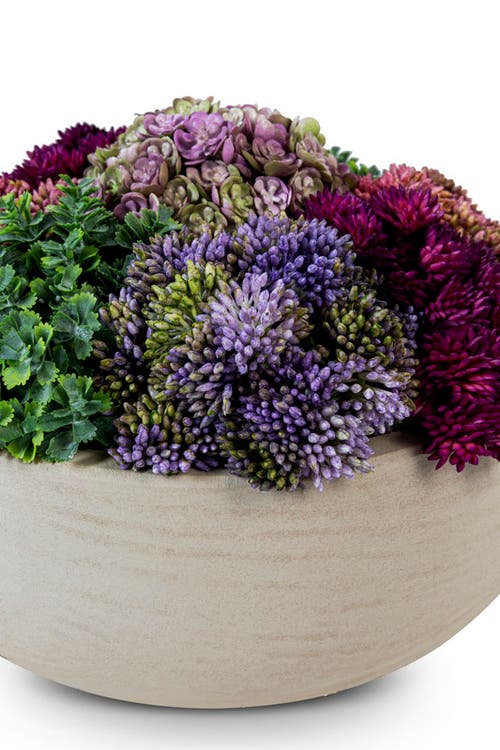 Cocobella Georgina Sedum Arrangement In Ash